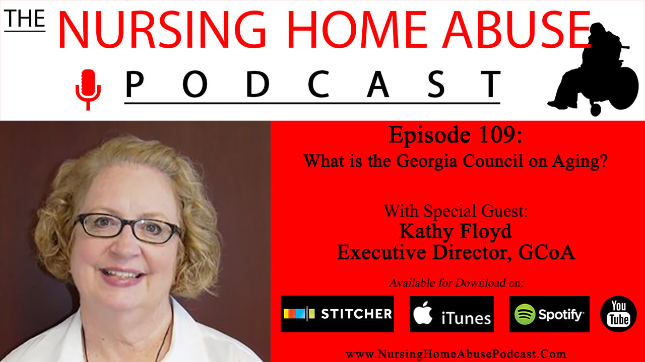 What is the Georgia Council on Aging?