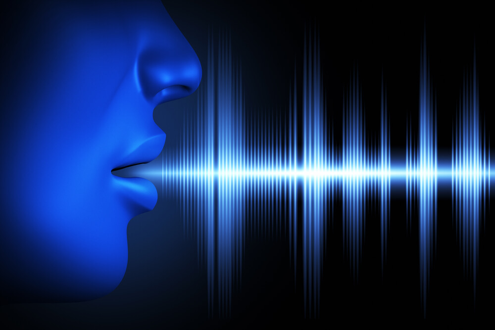The National Consumer Voice for Quality Long-Term Care Recap